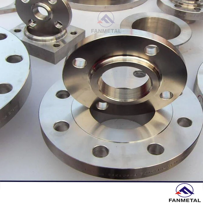 Titanium Flanges